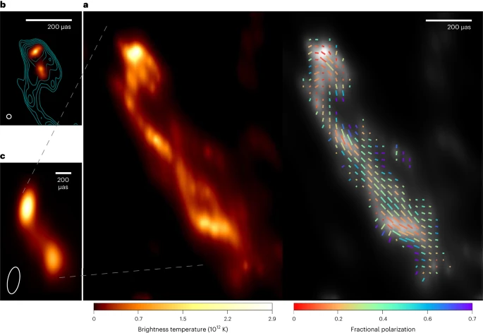 Blazar jet filamentary structures EHT