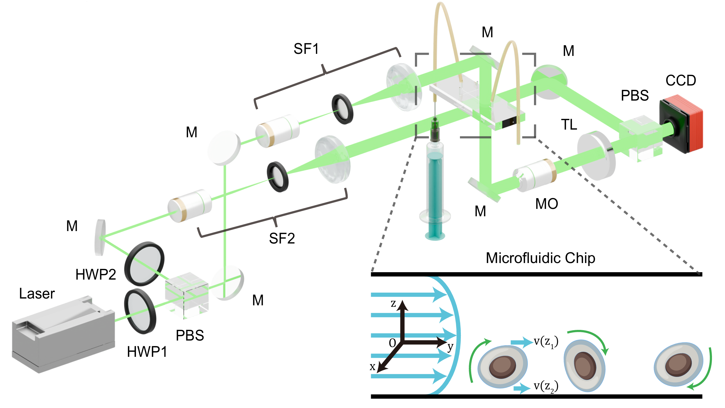 Pose-free 3D quantitative phase imaging of cells