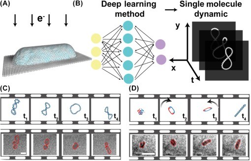 Liquid-phase electron microscopy biomacromolecules