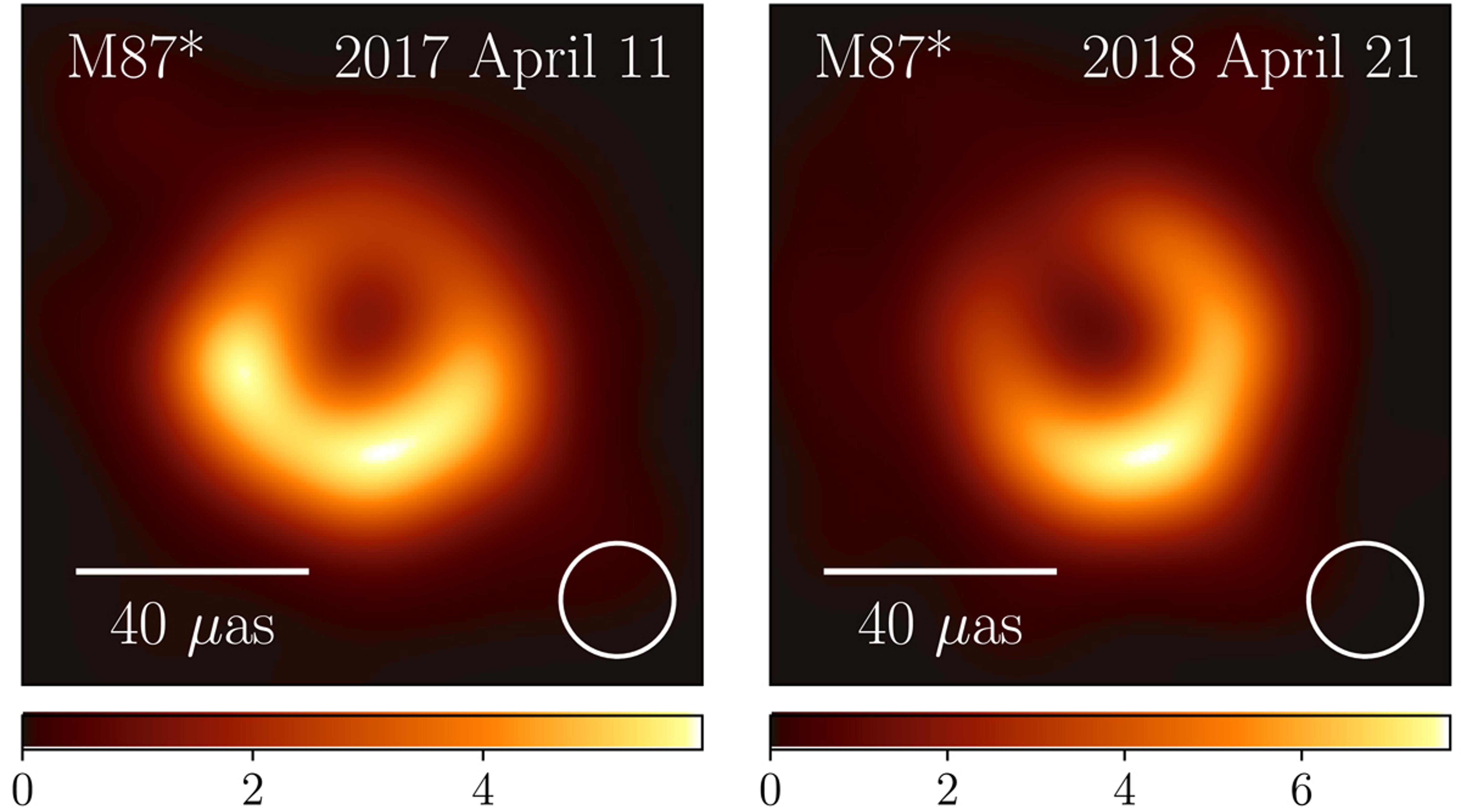 M87 persistent shadow EHT 2024